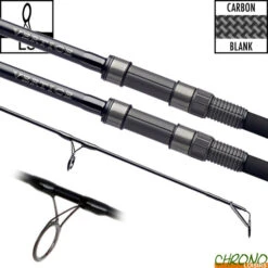 Canne Daiwa Vertice Carp 10' 3lbs (les 2)